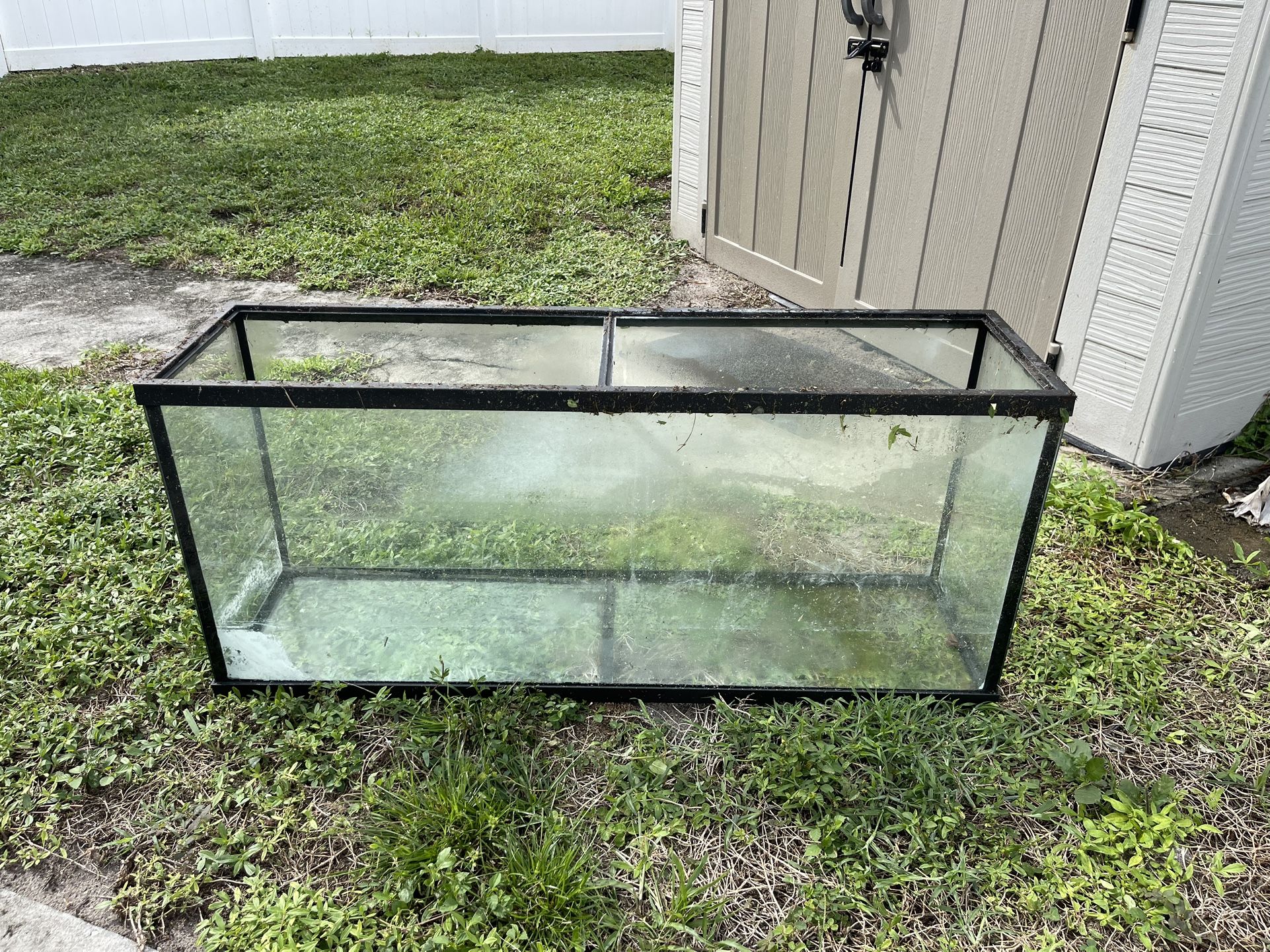 55 Gallon Fish / Turtle Tank