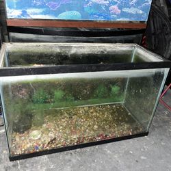 Fish Tank Lot
