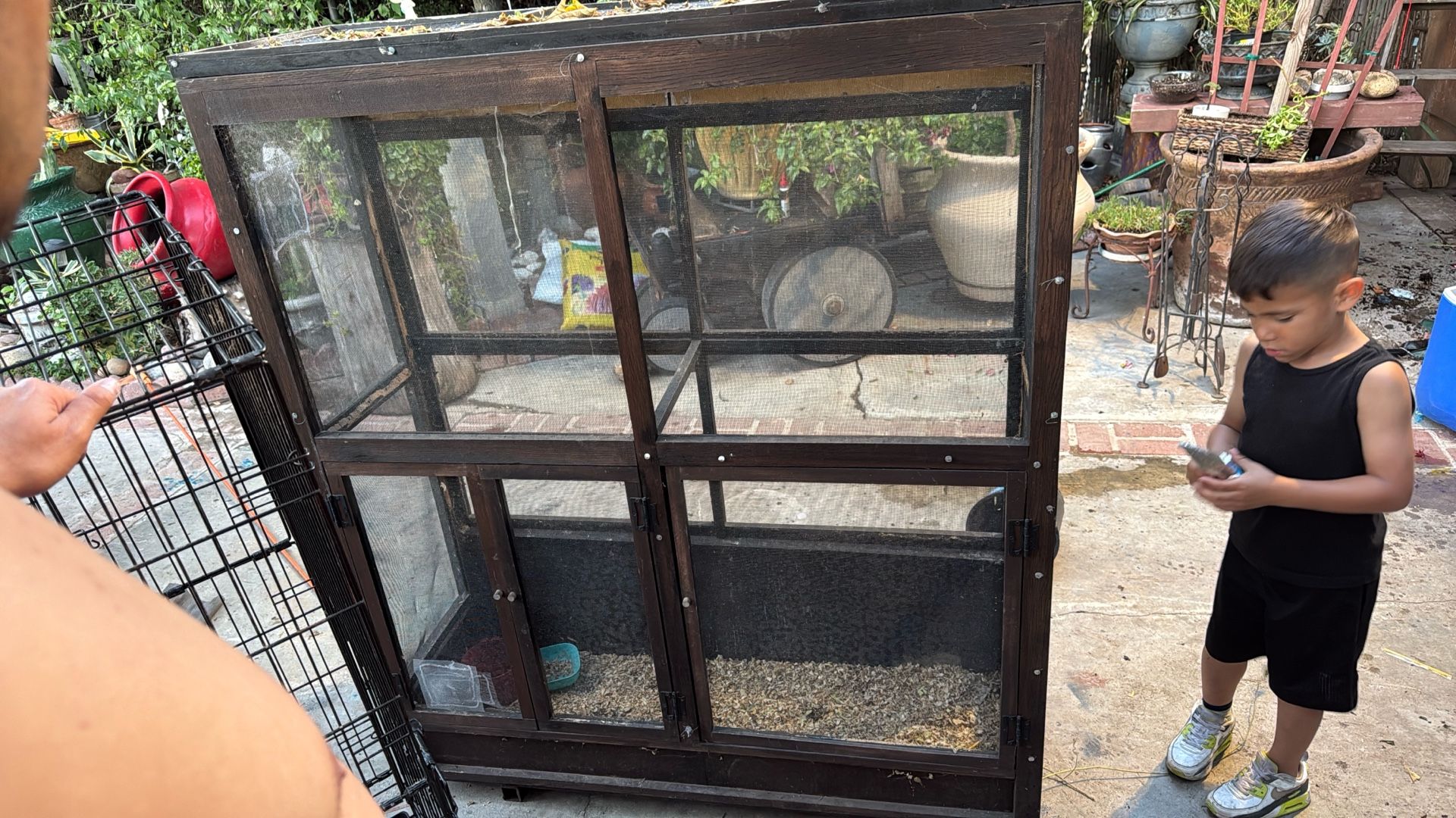 Bird Cage