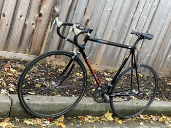 1991 Diamondback DB Master TG tange. Steel is real