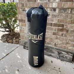 Everlast 70 Lb. Punching Bag