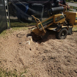 Stump grinding