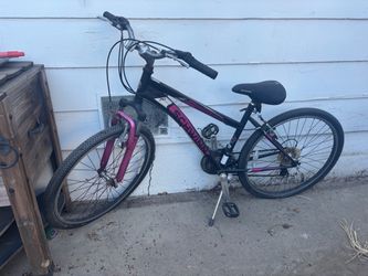 Schwinn bicycle