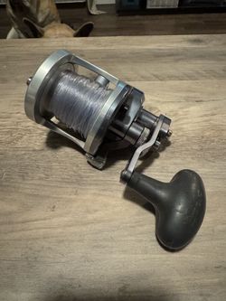 ‼️Two speed Avet MXL 6/4 salt water fishing reel.