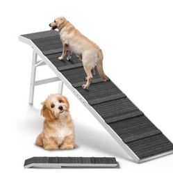 Folding Dod Ramp 