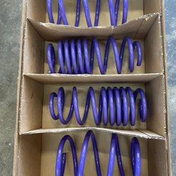10th/11th Gen Civic D2 Lowering Springs & Whiteline Front Endlinks