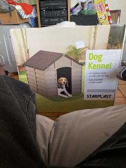 Dog House
