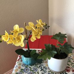 House Plant Fake Small 10.00 For Both Or 5.00 Each