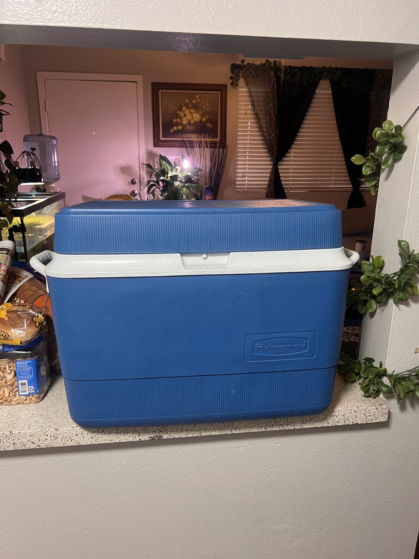 Rubbermaid Cooler