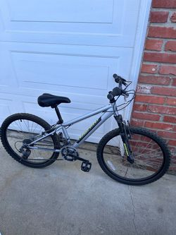 Nishiki Mountain Bike