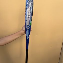 Rawlings | Remix T-Ball Bat | USA Baseball & Softball | -12 Drop | 2 1/4" Barrel | 1 Pc. Aluminum Amazon's Choice 