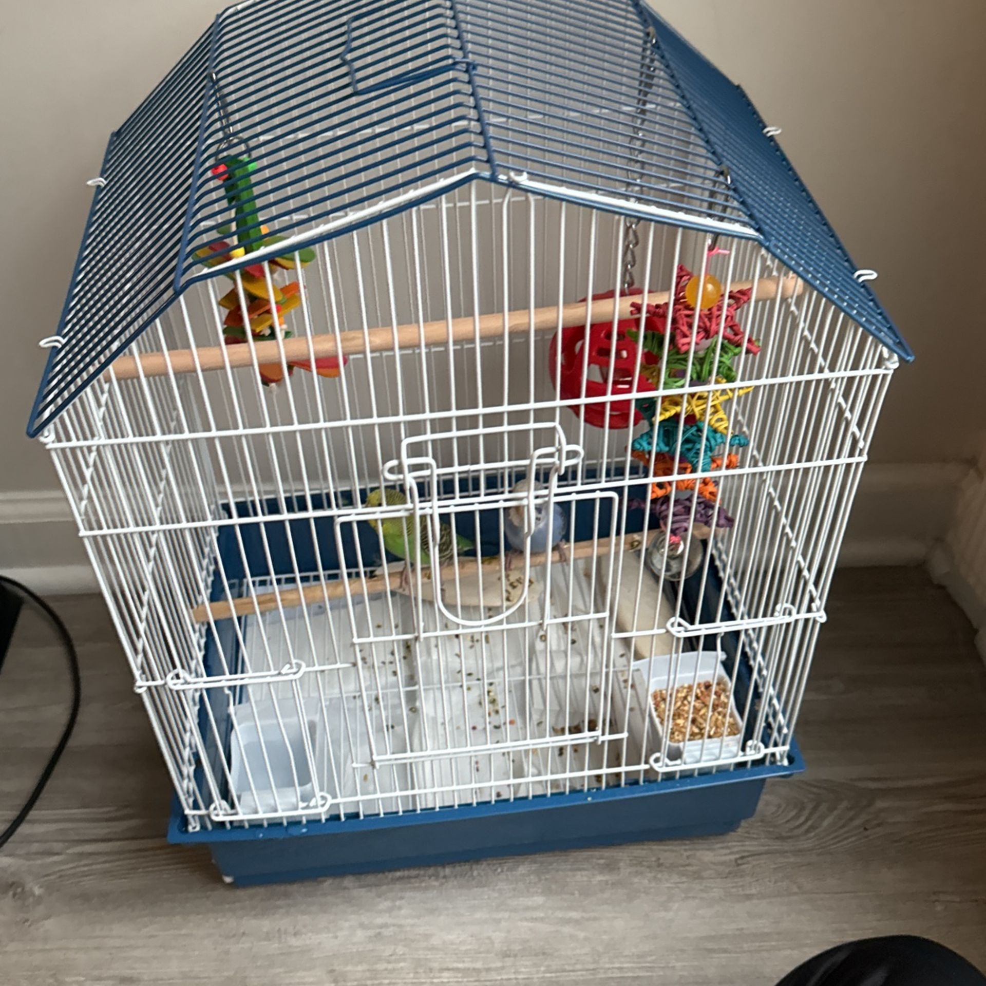 2 Birds Cage Toys Food Included