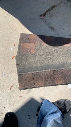 Roof Shingle 