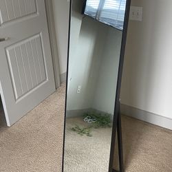 Body Mirror