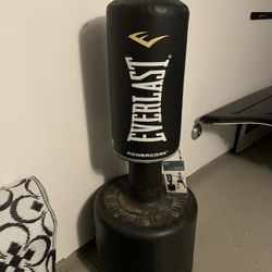 Punching Bag!!! Moving Gotta Go!
