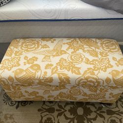 Chair And Chest Hummingbird  