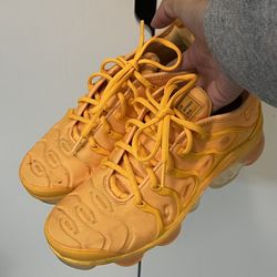 Nike Air Vapor Max Plus 