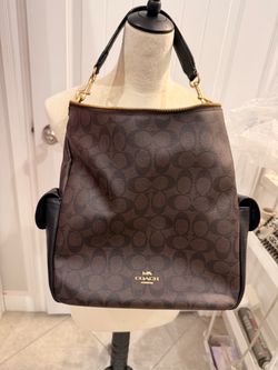 Coach Pouch Bag Large