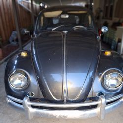 1967 Vw Bug
