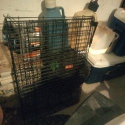 Dog Kennel 