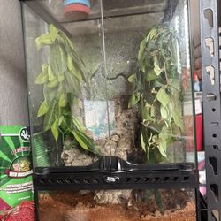 12x12x18 Exo Terra