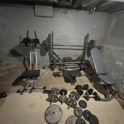 Gym Equipment 