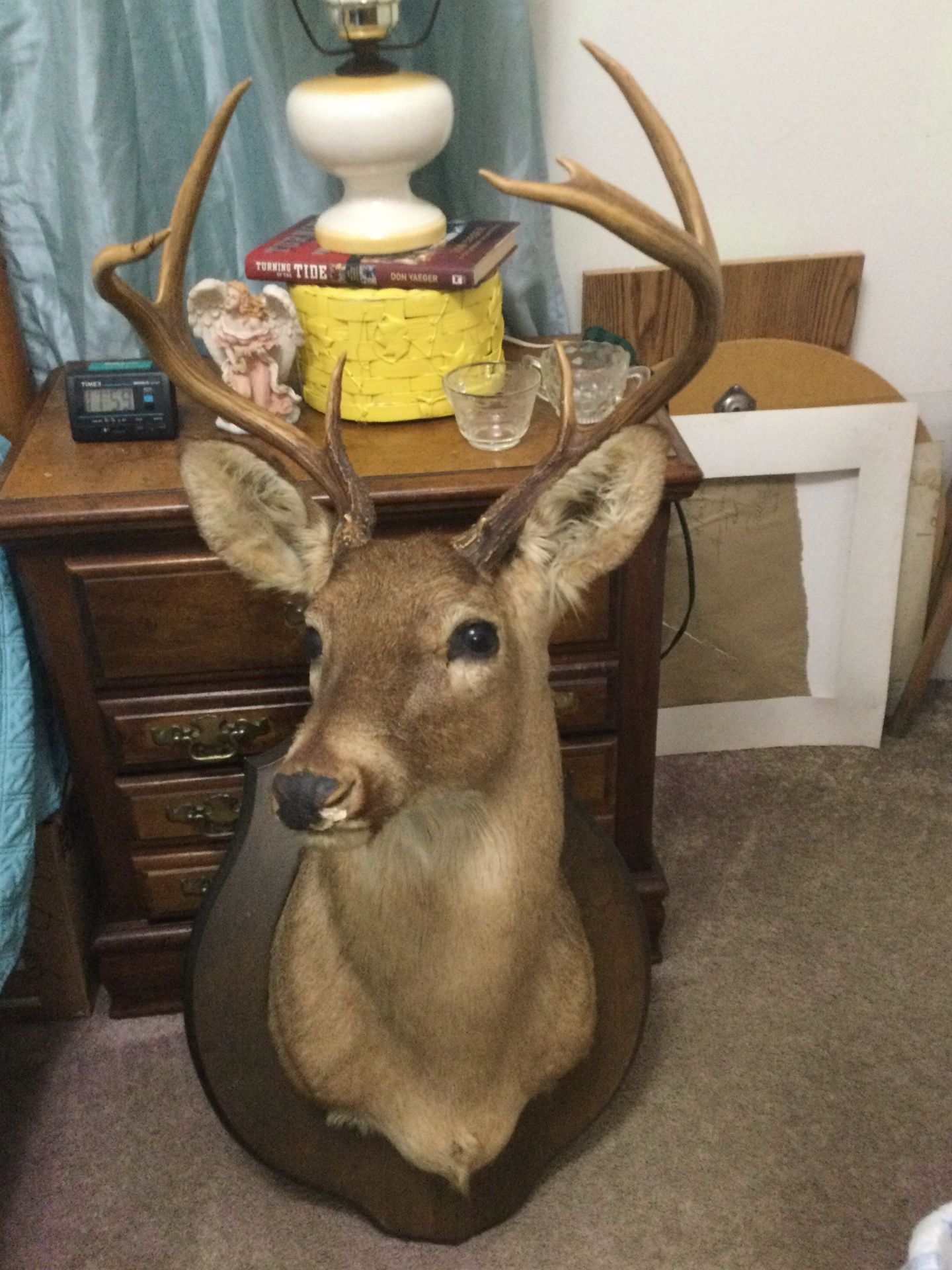 Deer Mount
