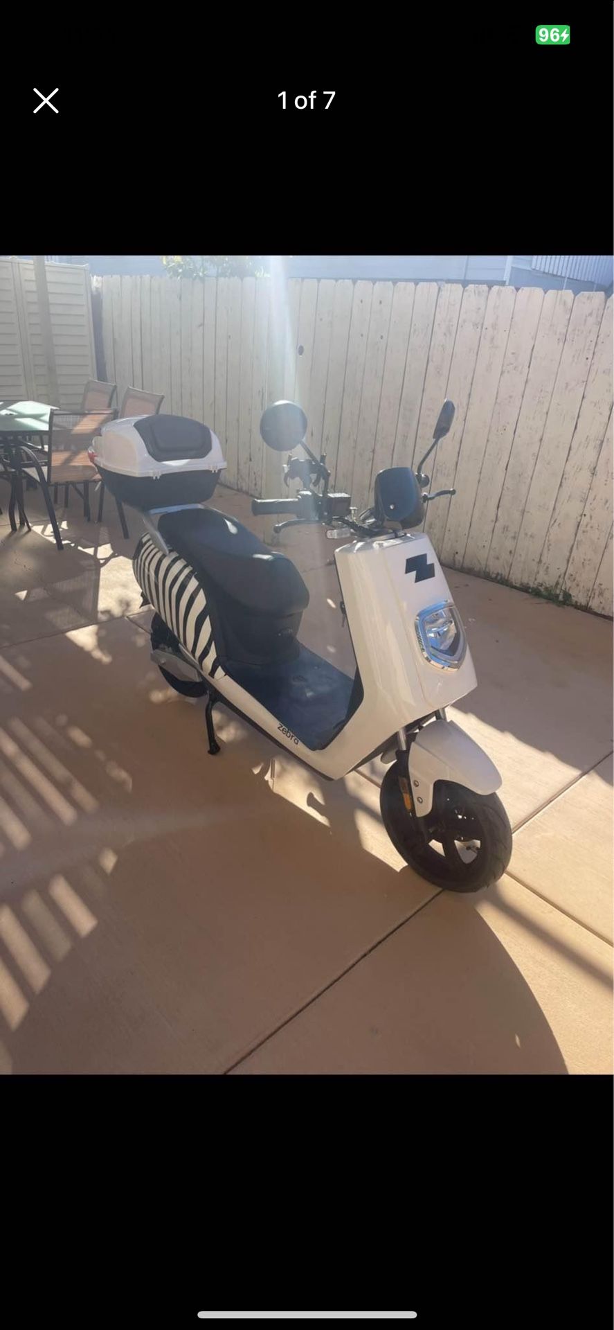 Zebra scooter