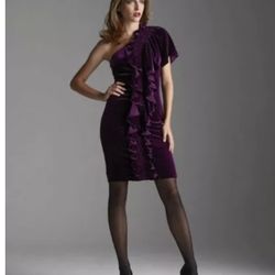 Badgley Mischka Velvet One Shoulder Ruffle Dress 4