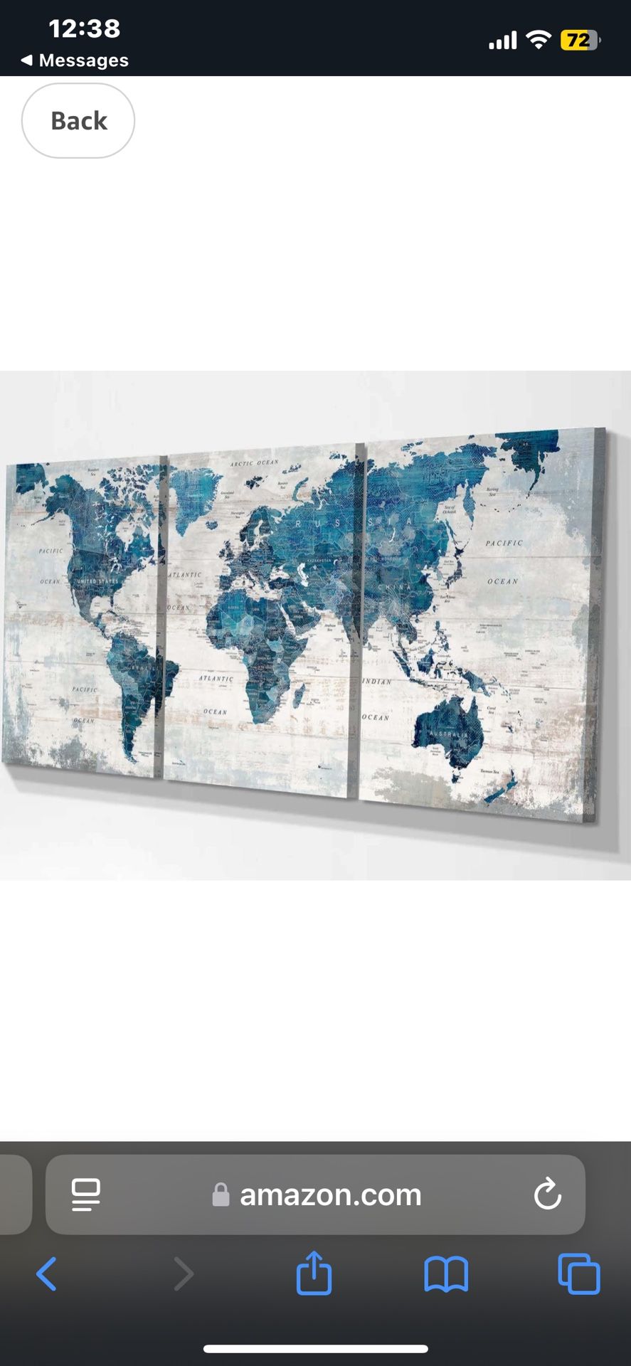 3 Piece Map Wall Art