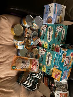 Cat Feed