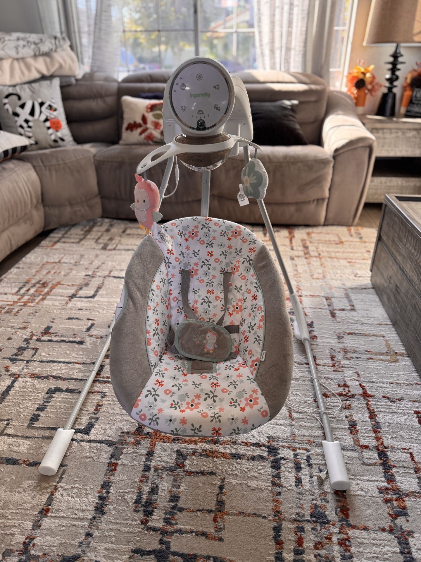 Baby Girl Swing 
