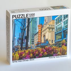 Chicago  Jigsaw Puzzle 1000 Pieces