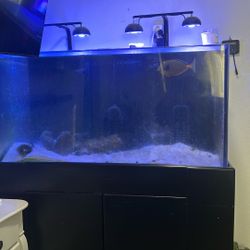 120 gallons fish tank 