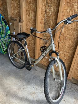 Cruiser Bike