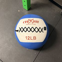 Wall Ball 12 Lbs