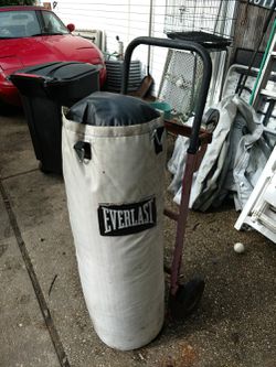 90 lb Everlast heavy weight punching bag