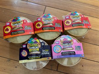 Viral mistery dumplings squishy