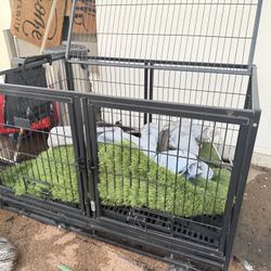Dog Kennels/ Cages