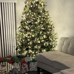 Balsam Fir 6’ Christmas tree