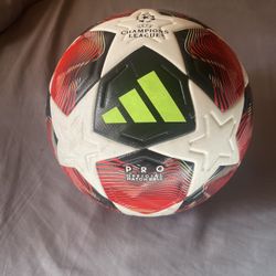 Fired up Professional Champions League Ball