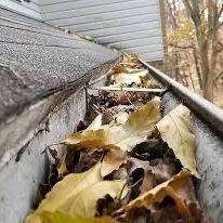 Gutter Cleaning 
