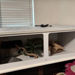 Reptile Enclosure 