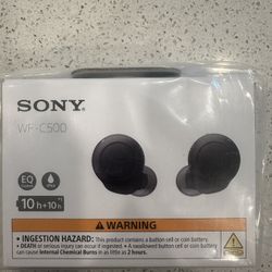 Head Phones 