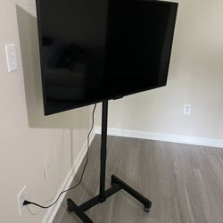 Insignia 43” 4K Smart Fire TV + Rolling Stand – Like New!