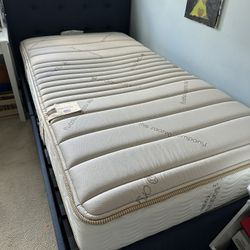 Saatva Organic Youth Mattress Twin
