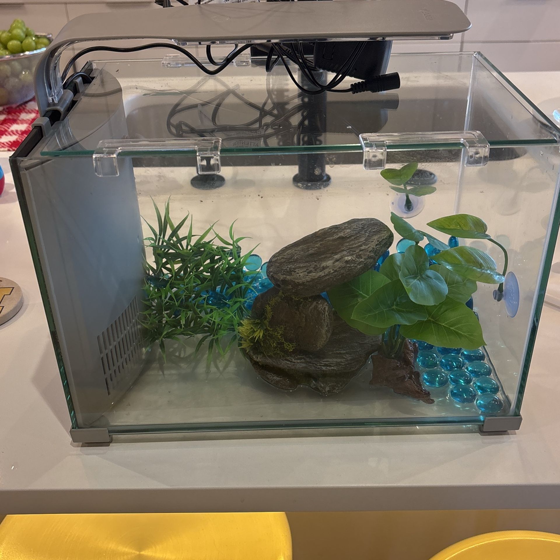 5 Gallon Fish Tank