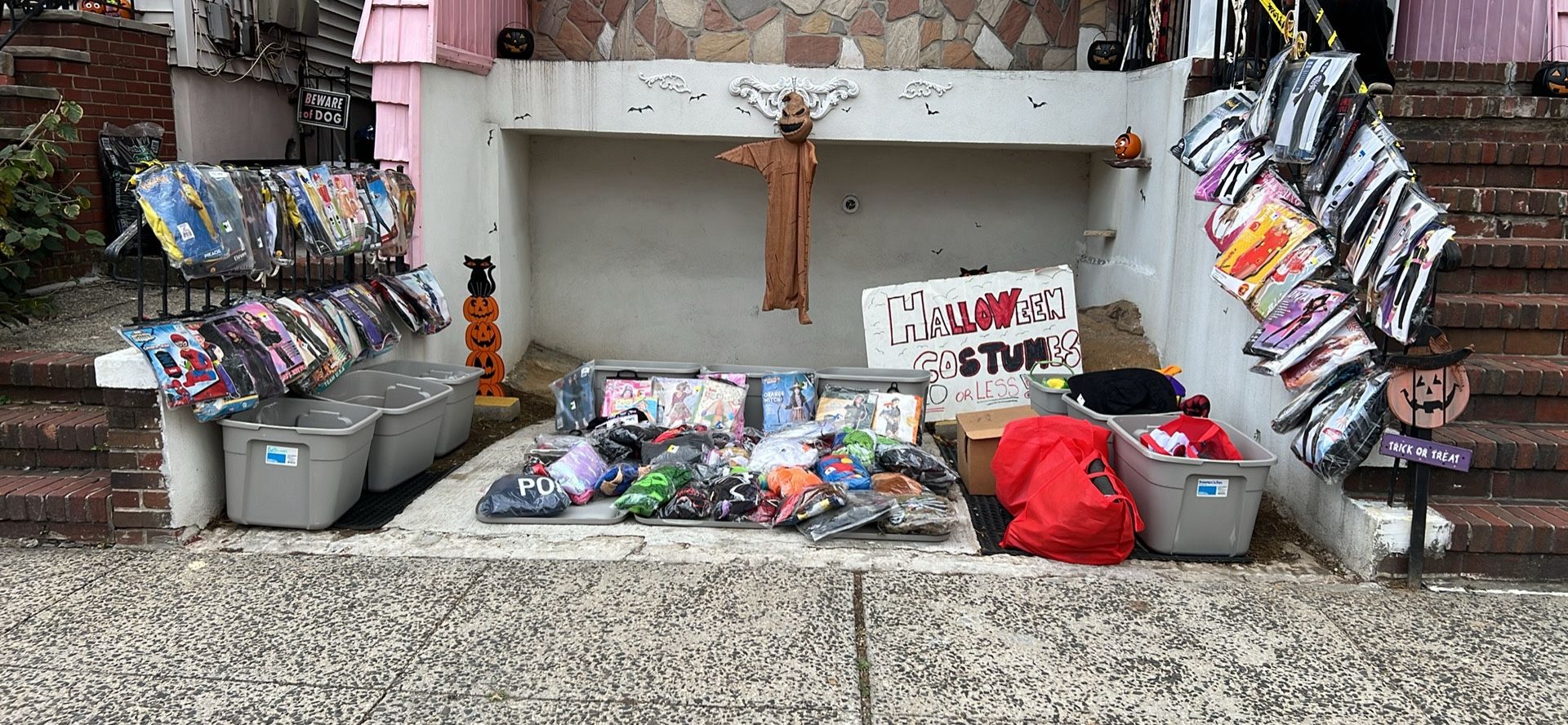 Halloween Costumes And Accessories For Kids Adults And Pets College Point 