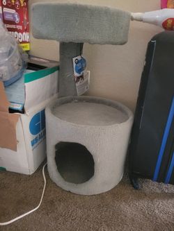 New Cat Tree