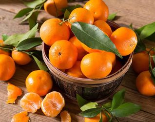 Grafted dwarf satsuma seedless mandarin trees😃🌿🌿🌿🍊🍊🍊